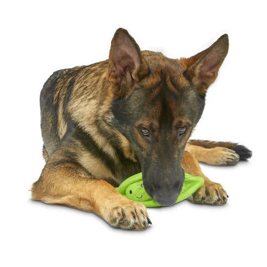 Foodie Faces Latex Peapod Dog Toy image 1
