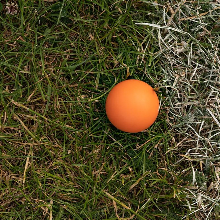 99% Natural Rubber Ball Dog Toy image 1