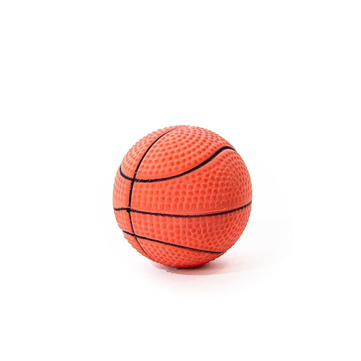 Sports Ball Dog Toy image 1