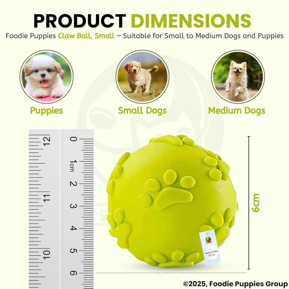 Durable and Safe Fetch Teething Dog Toy 100 Pieces image 2