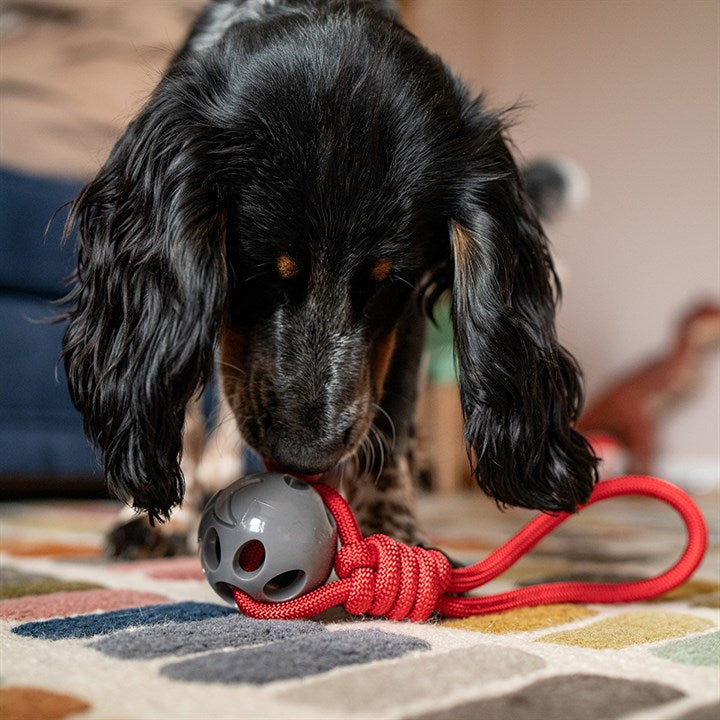 Stay Wild Shark & Rope Dog Toy image 2