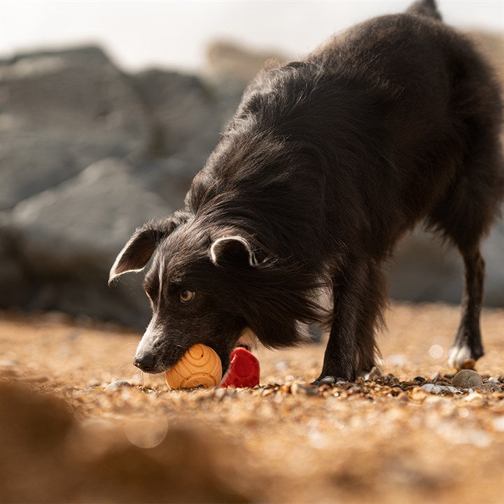 Red Irregular Ball & Orange Paw Ball Dog Toy image 2