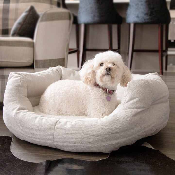 Dog Bed Cream image 1