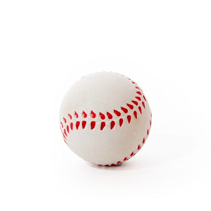 Sports Ball Dog Toy image 2