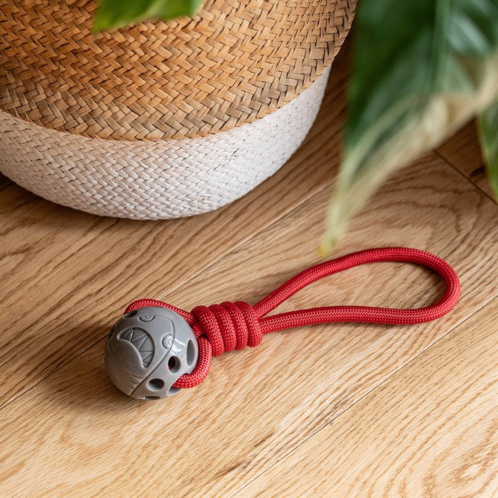 Stay Wild Shark & Rope Dog Toy image 1
