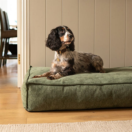 Emerald Green Dog Bed image 0
